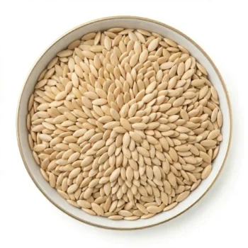 Cucumber Seeds(Vellari Seeds)